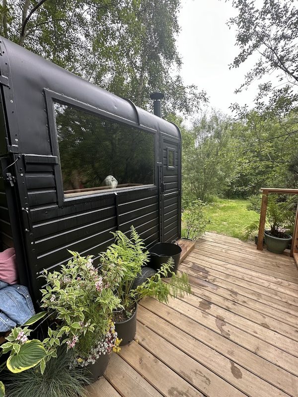 Nowhere Sauna — photo 2