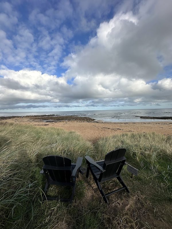 Wild Scottish Sauna - Kingsbarns — photo 3