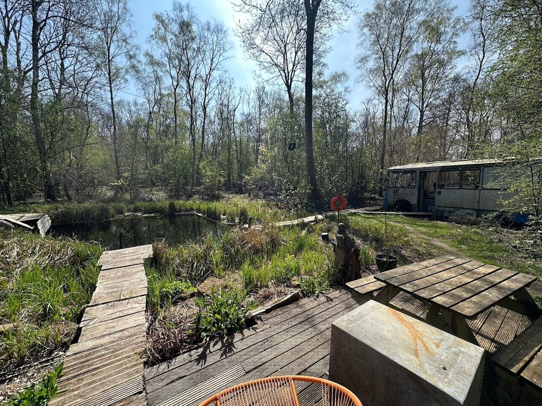 Sauna in the woods — photo 2