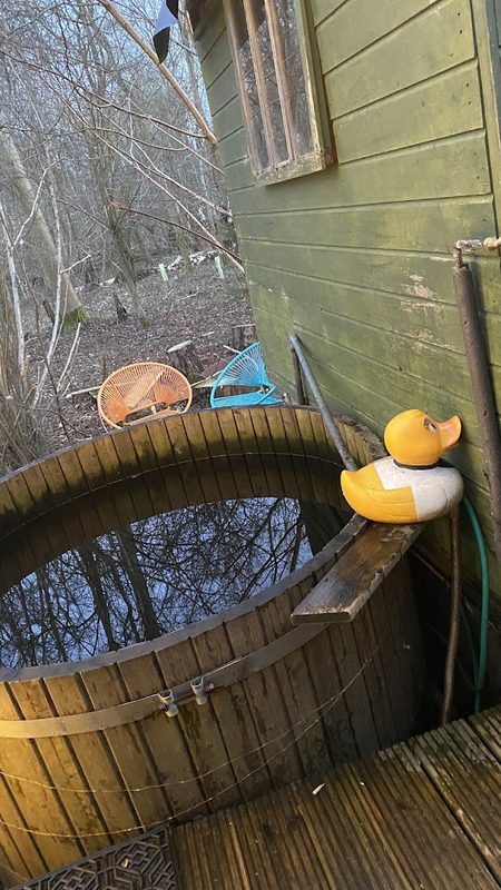 Sauna in the woods — photo 3