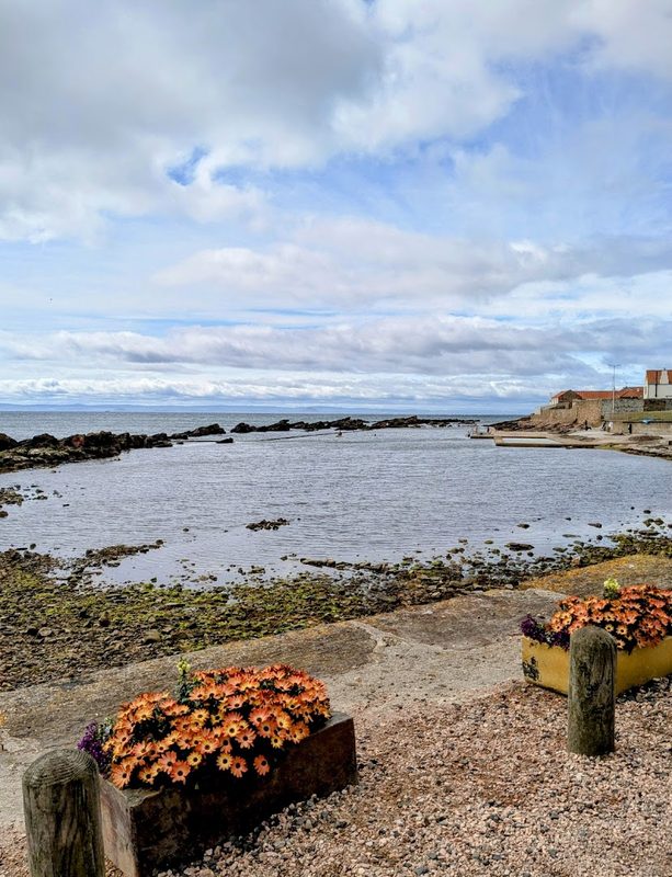 Cellardyke Seaside Sauna — photo 1
