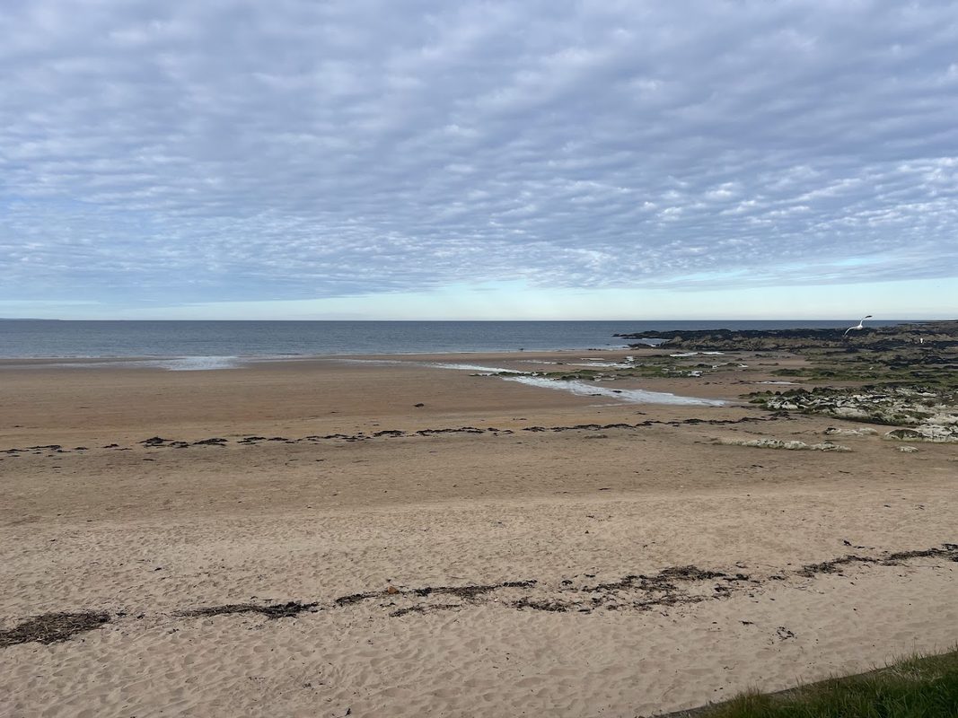 St. Andrews Seaside Sauna — photo 4