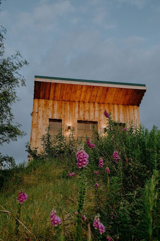 Eastwood Forest Sauna — photo 2