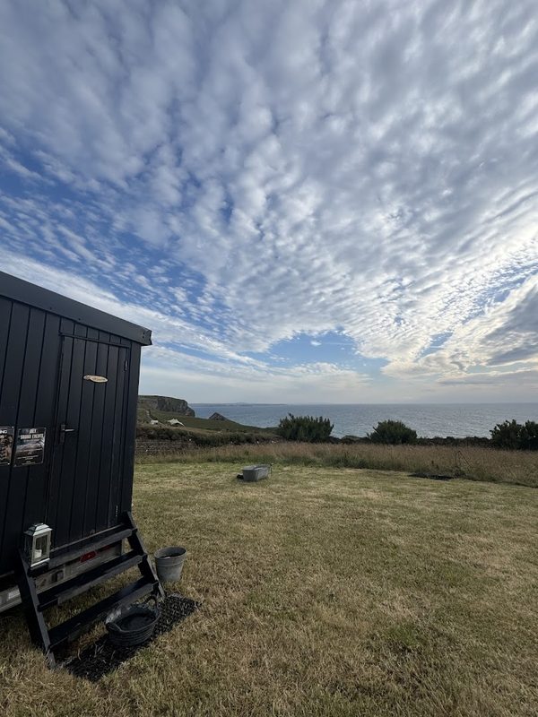 Olla Hiki Sauna — photo 4