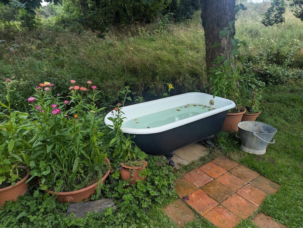 The Wild Sauna — photo 1