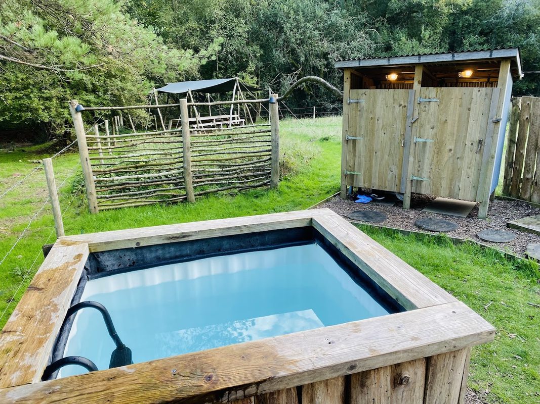 The Forest Sauna — photo 2
