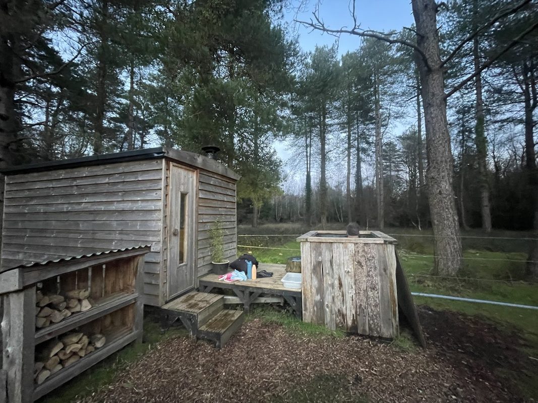 The Forest Sauna — photo 4