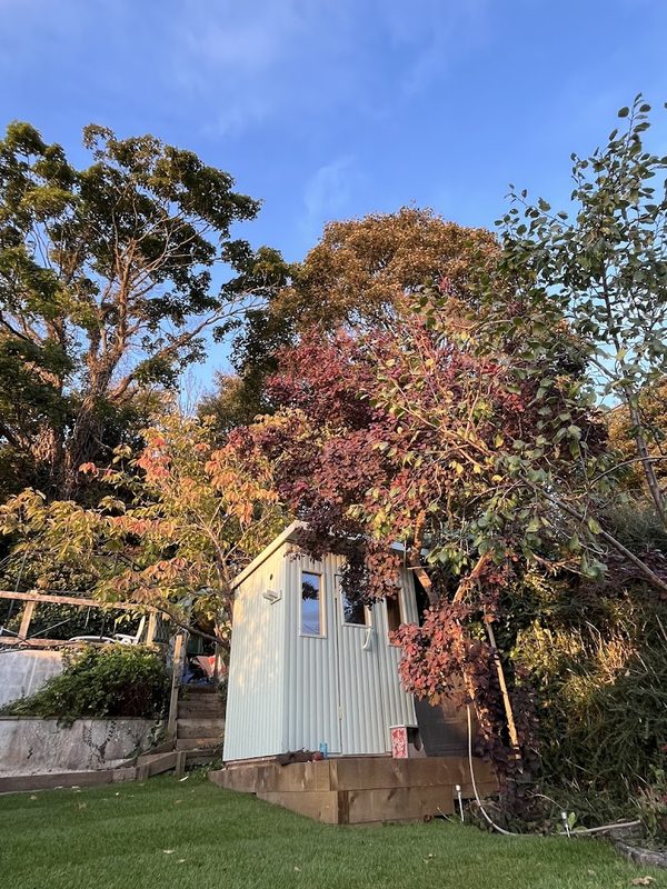 The Garden Sauna — photo 1