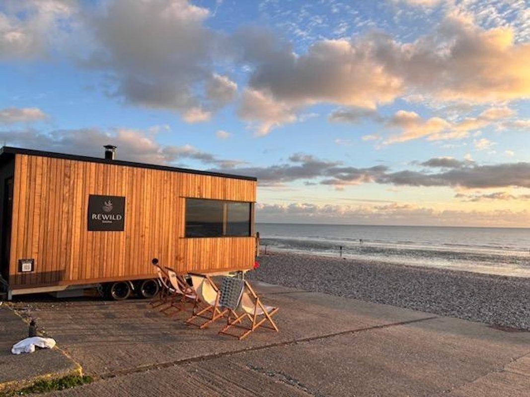 Rewild Sauna — photo 3