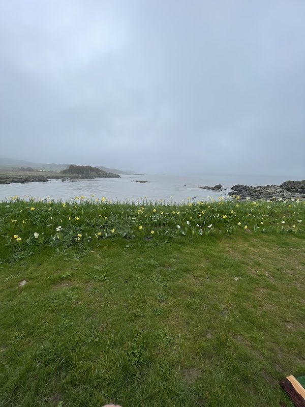 Wild Dook Sauna — photo 4